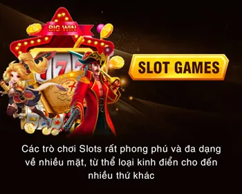 Hoàn trả hàng ngày/tuần WinVND App